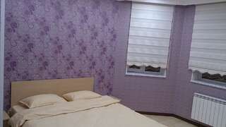 Мини-отель Baku Butik Mini-Hotel Баку Двухместный номер Делюкс с 1 кроватью-3